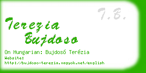 terezia bujdoso business card