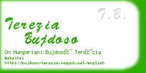 terezia bujdoso business card